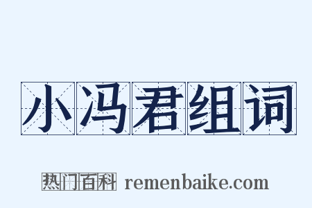 小冯君组词是什么意思的图片